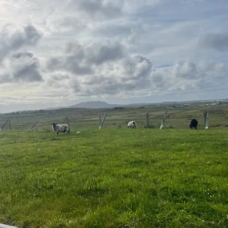 ホームステイ Ballyconneely House