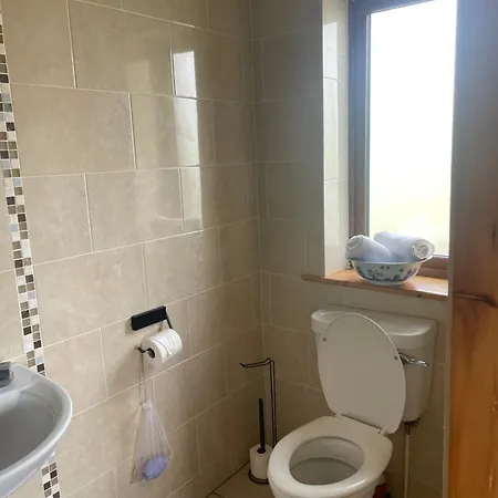 Проживание в семье Ballyconneely House Голуэй